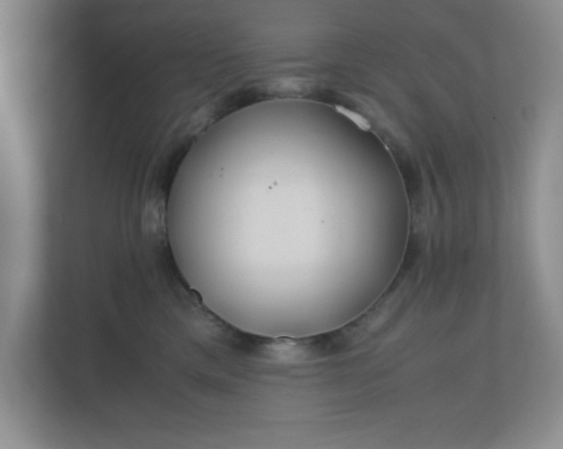 X0000110770425200906221146