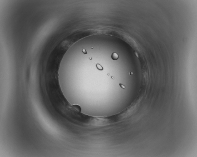 X0000110770429200906221146