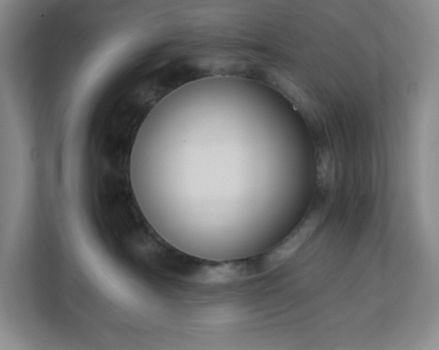 X0000110770430200906221146