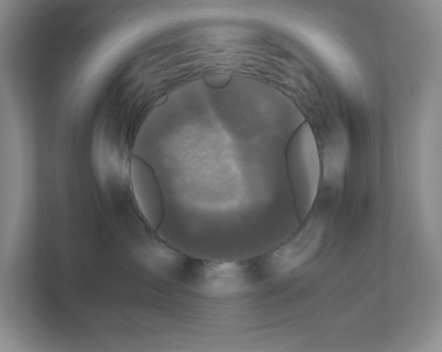 X0000110770431200906221146