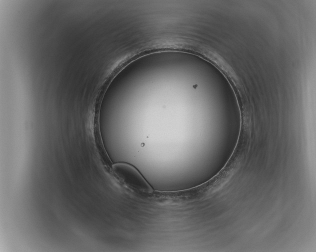 X0000110770434200906221145