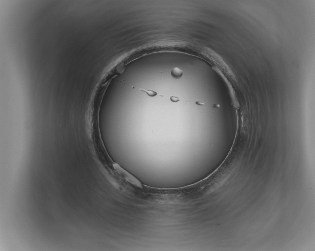 X0000110770436200906221145