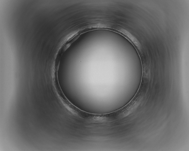 X0000110770437200906221145