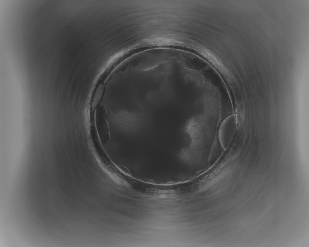 X0000110770438200906221145