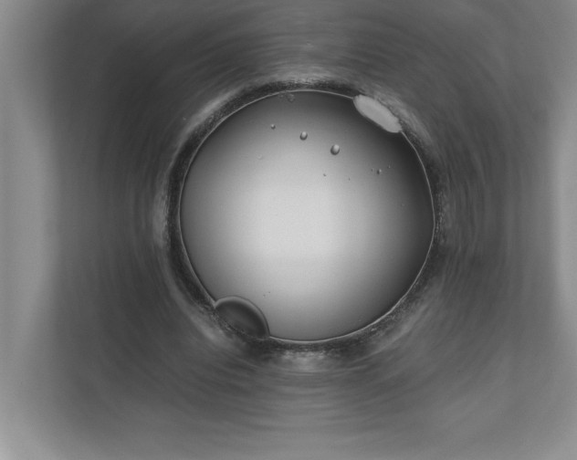 X0000110770440200906221145