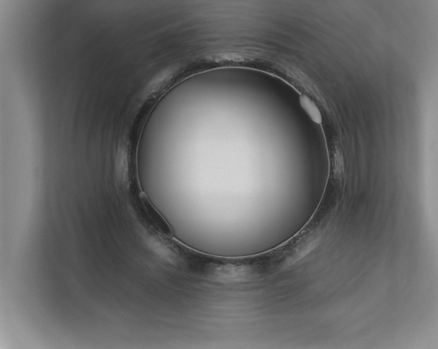 X0000110770444200906221145