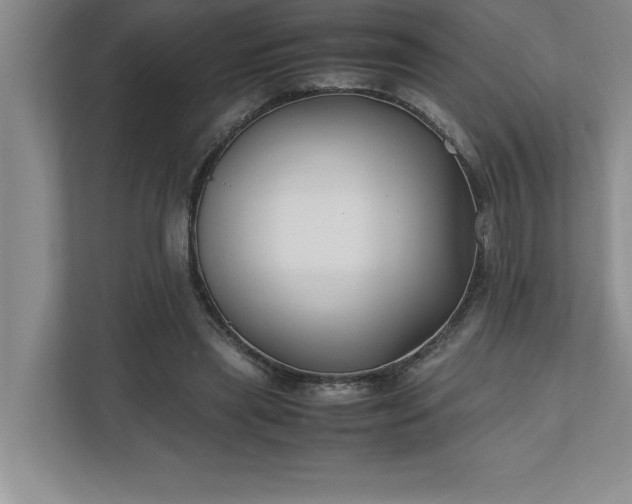 X0000110770445200906221145