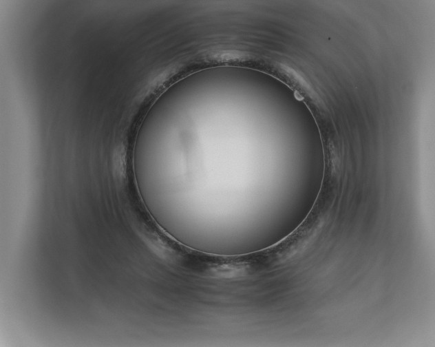 X0000110770447200906221145