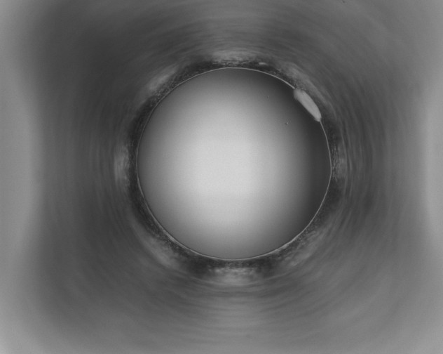 X0000110770448200906221145