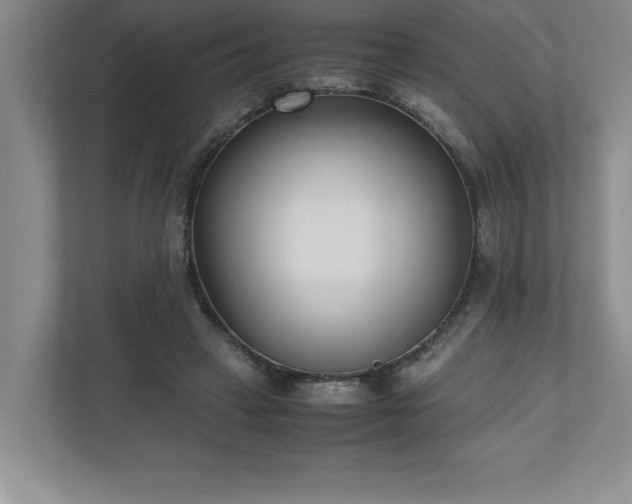 X0000110770449200906221145