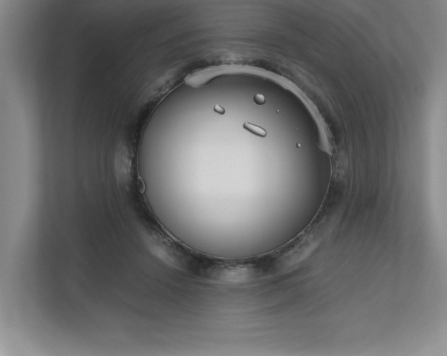 X0000110770456200906221145