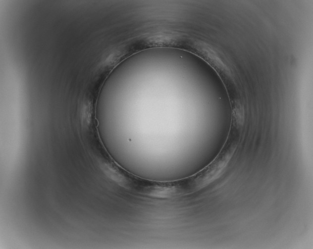 X0000110770458200906221145