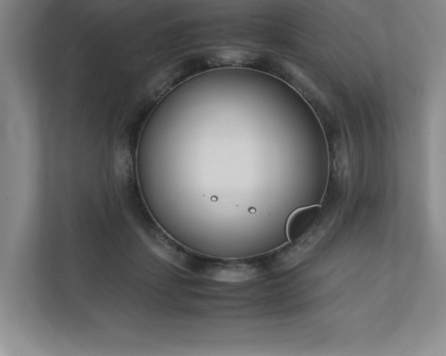 X0000110770459200906221145