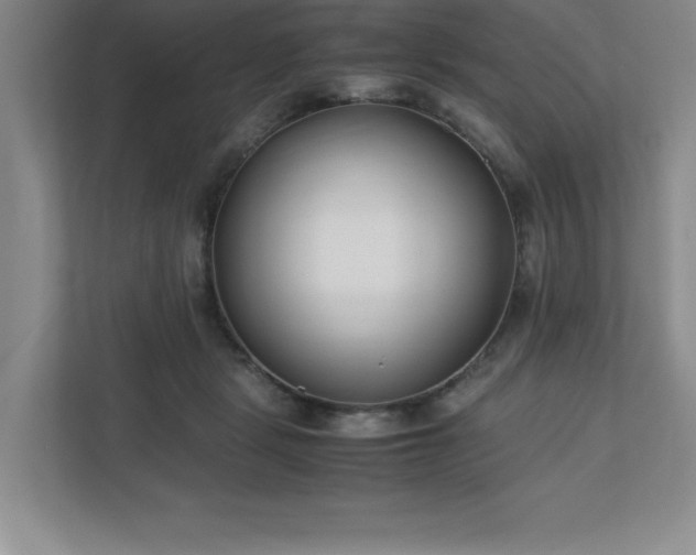 X0000110770461200906221145