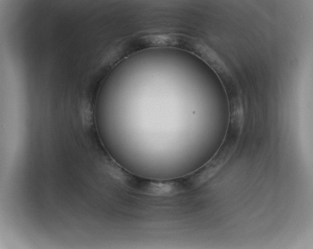 X0000110770469200906221146