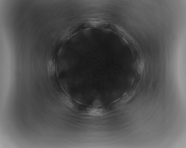 X0000110770471200906221146