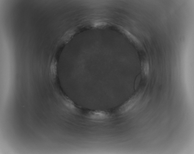 X0000110770475200906221146