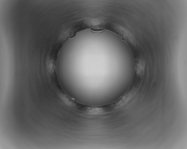 X0000110770476200906221146