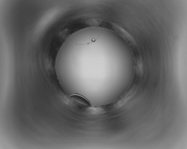 X0000110770477200906221146