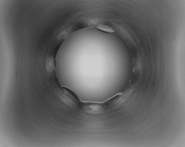 X0000110770478200906221146