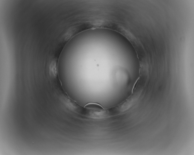 X0000110770479200906221146