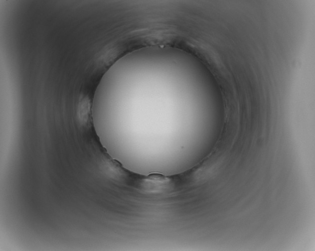 X0000110770480200906221146