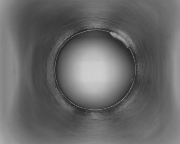 X0000110770481200906221145