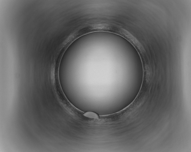 X0000110770482200906221145