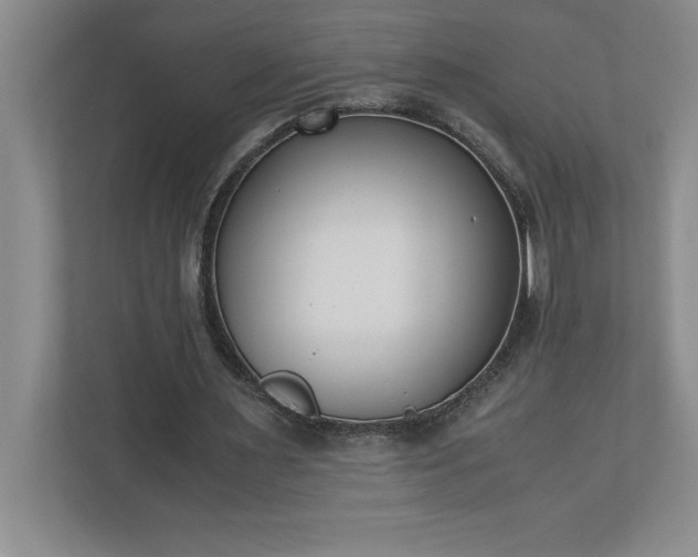 X0000110770483200906221145