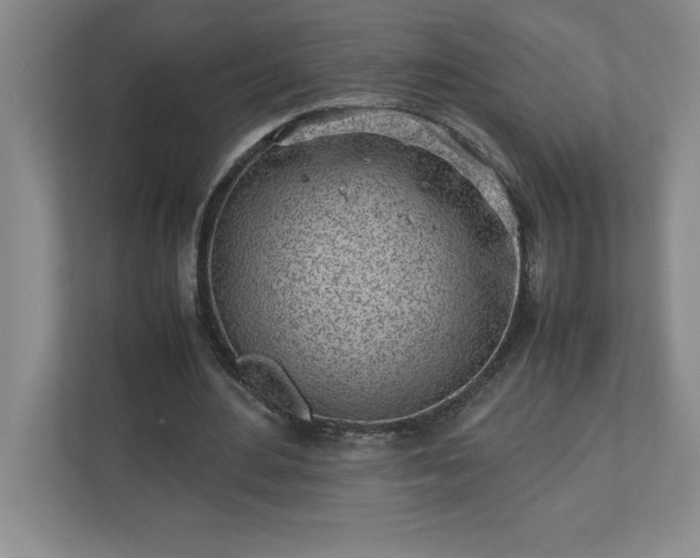 X0000110770484200906221145