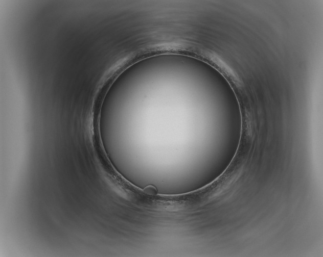 X0000110770486200906221145