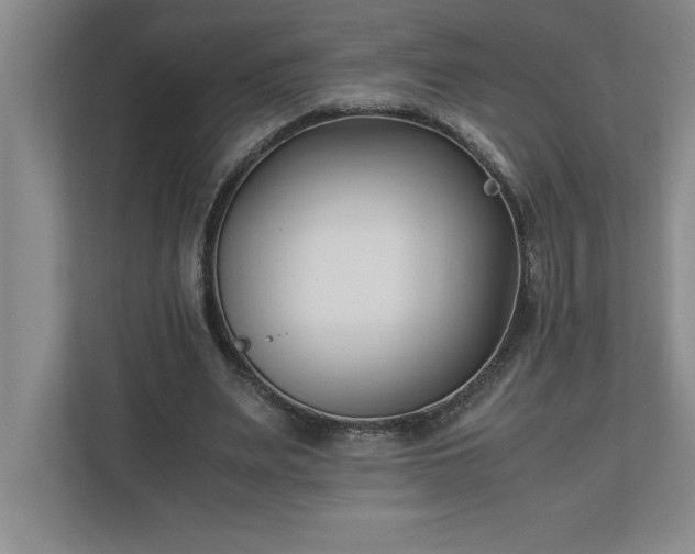 X0000110770487200906221145