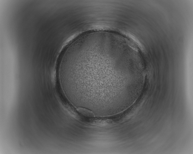 X0000110770488200906221145