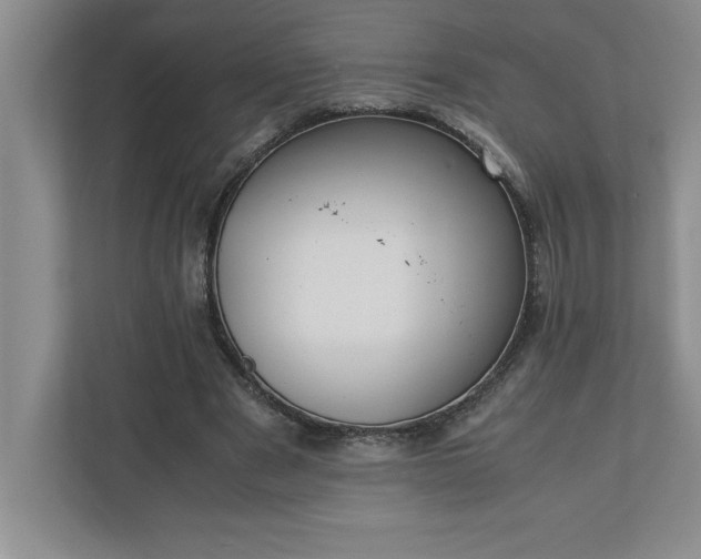 X0000110770489200906221145