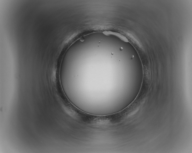 X0000110770491200906221145