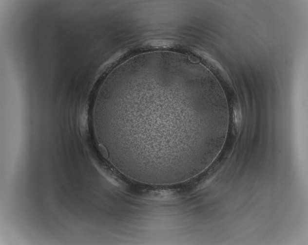 X0000110770492200906221145