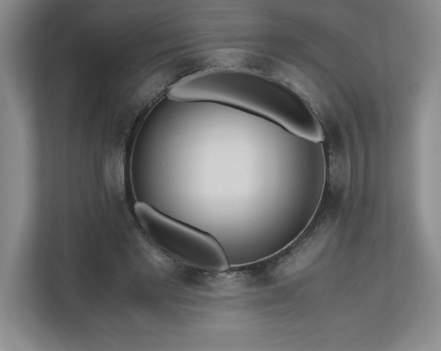 X0000110770493200906221145