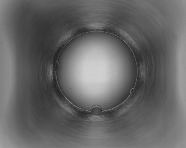 X0000110770494200906221145