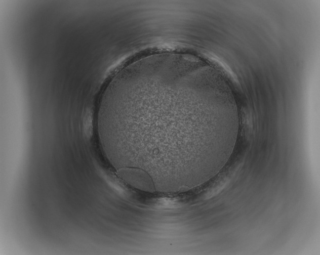 X0000110770496200906221145