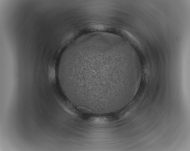 X0000110770500200906221145