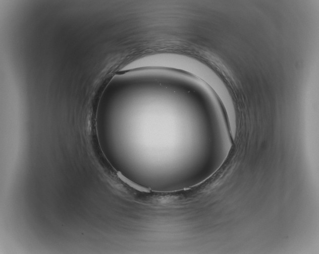 X0000110770501200906221145