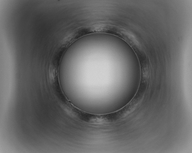 X0000110770503200906221145