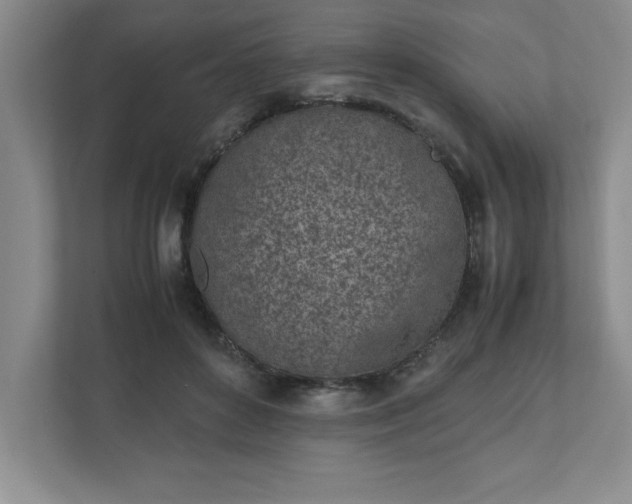 X0000110770504200906221145