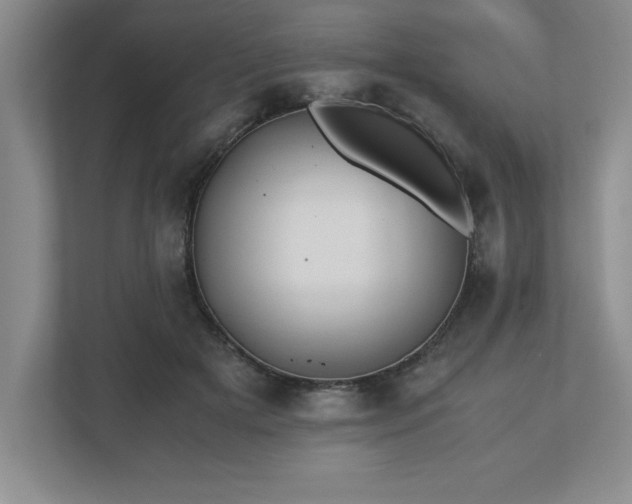 X0000110770505200906221145