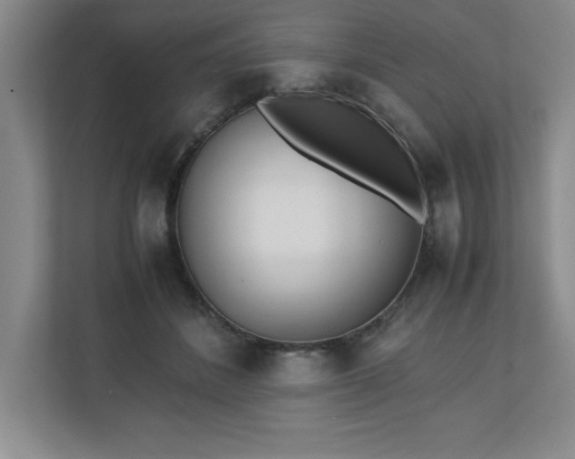 X0000110770508200906221145