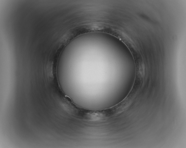 X0000110770512200906221145