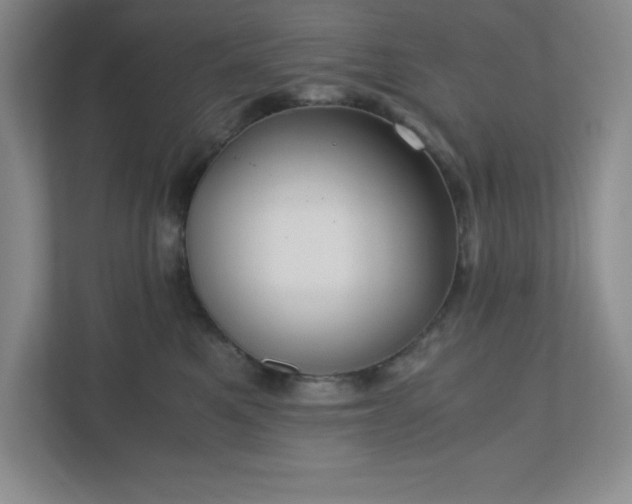 X0000110770521200906221145