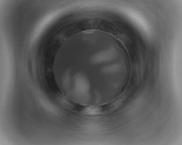 X0000110770526200906221144