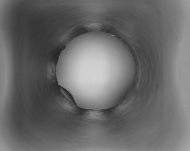 X0000110770528200906221144