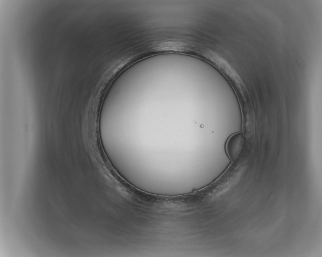 X0000110770529200906221144